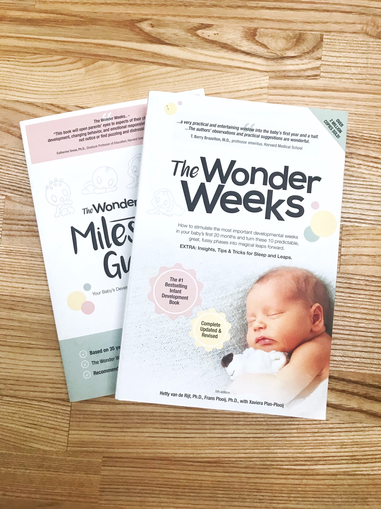 New Mum Reading List: The Wonder Weeks - Hetty van de Rijt
